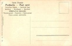 Vintage Postcard Still life Fantasy Lemons