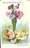 Vintage Postcard Fantasy Flowers Daisies and Primulas