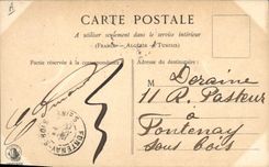 Vintage Postcard Fantasy Flowers the marine algas Plocamium coccuneum