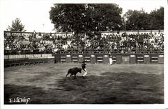 CPM Corrida Course de taureaux Au Pays Landais La course landaise Fete populaire des Landes 