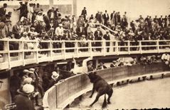 CPM Corrida Course de taureaux L'Orphelin de Granon projette Biscarel au dela des barrieres 