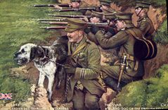 CPA Militaria A guard dog on the English Trenches 