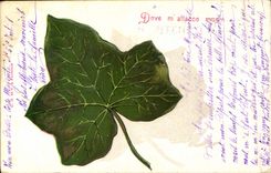 Vintage Postcard Fantasy Flowers Vine (in relief)