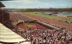 Modern Postcard Hollywood Park Racetrack Inglewood Cal Horses