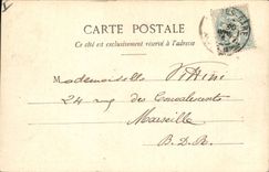 Postal Árbol Cannes Ida de Palmeras