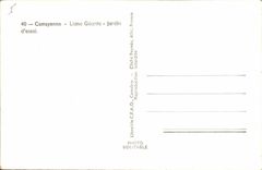 Postal Árbol Camayenne Bejuco gigante Jardín de prueba