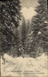 Postal Árbol el Jura Taladro de abetos en invierno