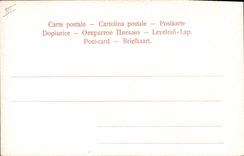 Postal Fantasia Natural muerto Naranjas