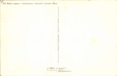 Postal Fantasia Natural muerta Grosella