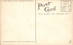 Postal Fantasia Natural muerta A cluster of ciruelas