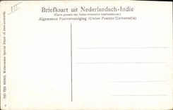 Postal Plantas Java Indonesia