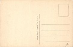 Postal Árbol la Santa Bálsamo bajo madera Camino de la gruta