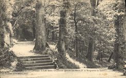 Postal Árbol Nerac la Garenne los dos olmillos plantas por Enrique IV y Margarita de Valois