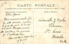 Postal Árbol San Máximo un pino piñonero