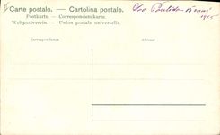 Postal Fantasia Natural muerto Anaranjados y limones