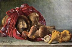 Postal Fantasia Natural muerto Setas Seta