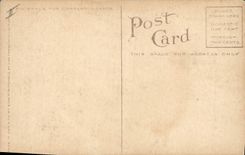 Postal Fantasia Natural muerto White winter permain