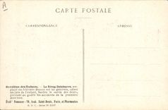 Postal Fantasia Flores Borraja Oficinal Familia del Barraginees