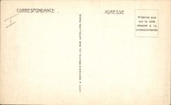 Vintage Postcard Headlight Bridge Swallow-hole Manech Port the Dimension and the headlight Cow