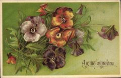 CPA Fantaisie Fleurs 