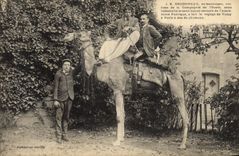 CPA Globe Trotters Globe-Trotters Vichy a Paris en Chameau Doussineau TOP