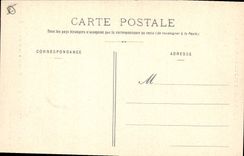 CPA Arbre Vosges Gerardmer