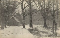 CPA Arbre Paysage d'hiver Foret de Fougeres