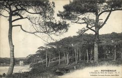 CPA Arbre Rotheneuf L'entree du bois du Lupin