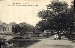 CPA Arbre Rennes Au Thabor La grande allee du jardin francais et le cedre du Liban