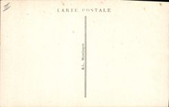 CPA Arbre Foret de Troncais Allier Le Bouquet geant de la foret 