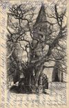 CPA Arbre Allouville Bellefosse le chene chapelle