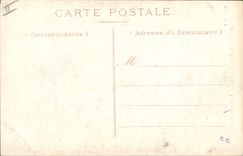 CPA Arbre Foret de Fontainebleau Le Pharamond