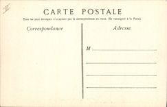 CPA Arbre Nimes Le gros cedre