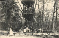 CPA Arbre Le Mans Jardin d'horticulture Robinson