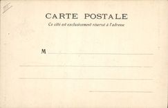 CPA Arbre Ananas monstre de Cochinchine Indochine