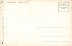 CPA Fantaisie Fleurs 