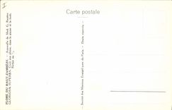 CPA Fantaisie Fleurs 