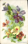 CPA Fantaisie Fleurs Capucines & Clematites
