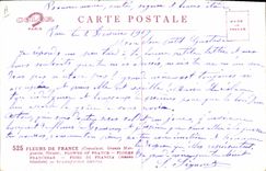 Postal Fantasia Flores Margeurite Aciano