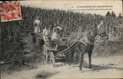 CPA Folklore Vigne Vendanges Champagne Transport du raisin a la cuve apres etre pressure TOP