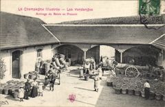 CPA Folklore Vigne Vendanges Champagne Arrivage du raisin au pressoir TOP