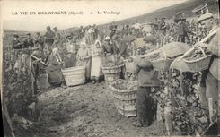 CPA Folklore Vigne Vendanges Champagne TOP