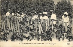 CPA Folklore Vigne Vendanges Champagne Les vendangeurs TOP