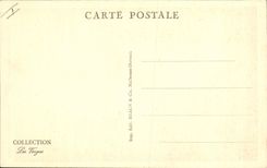 CPA Arbre Plombieres Les sapins du parc