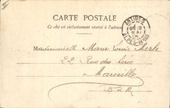 CPA Arbre Cannes Pins de la Bocca