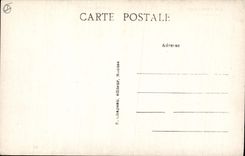 CPA Arbre Pornichet Au bois d'amour Les pins