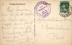 CPA Arbre Ile Sainte Marguerite Allee des Eucalyptus