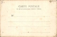 CPA Arbre Paris Cedres du Jardin des plantes 