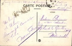 CPA Arbre Nimes Jardin de la fontaine Le cedre