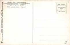 CPA Fantaisie Fleurs 